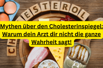 Cholesterinspiegel