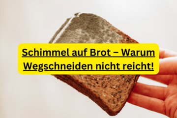 Schimmel auf Brot