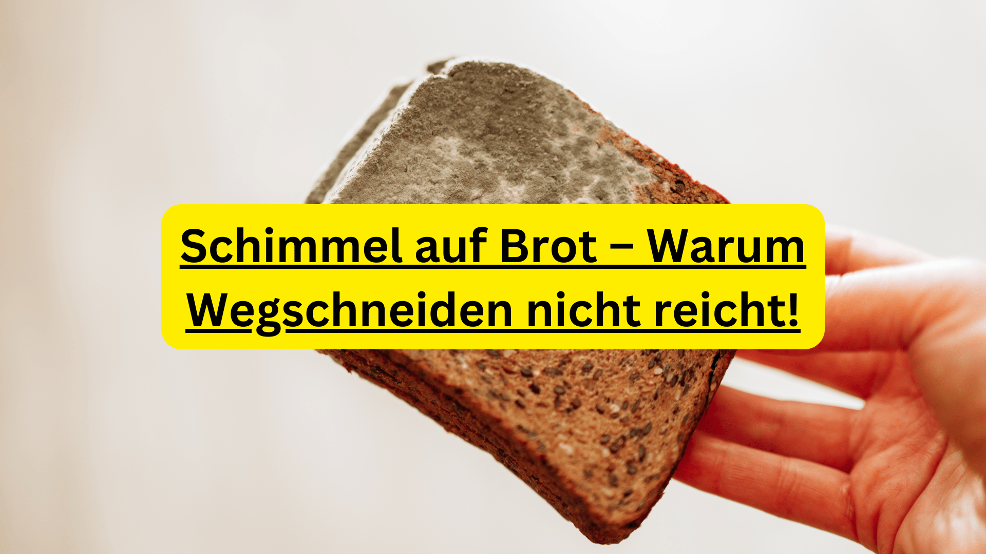 Schimmel auf Brot