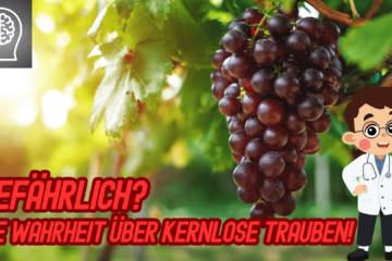 Kernlose Trauben