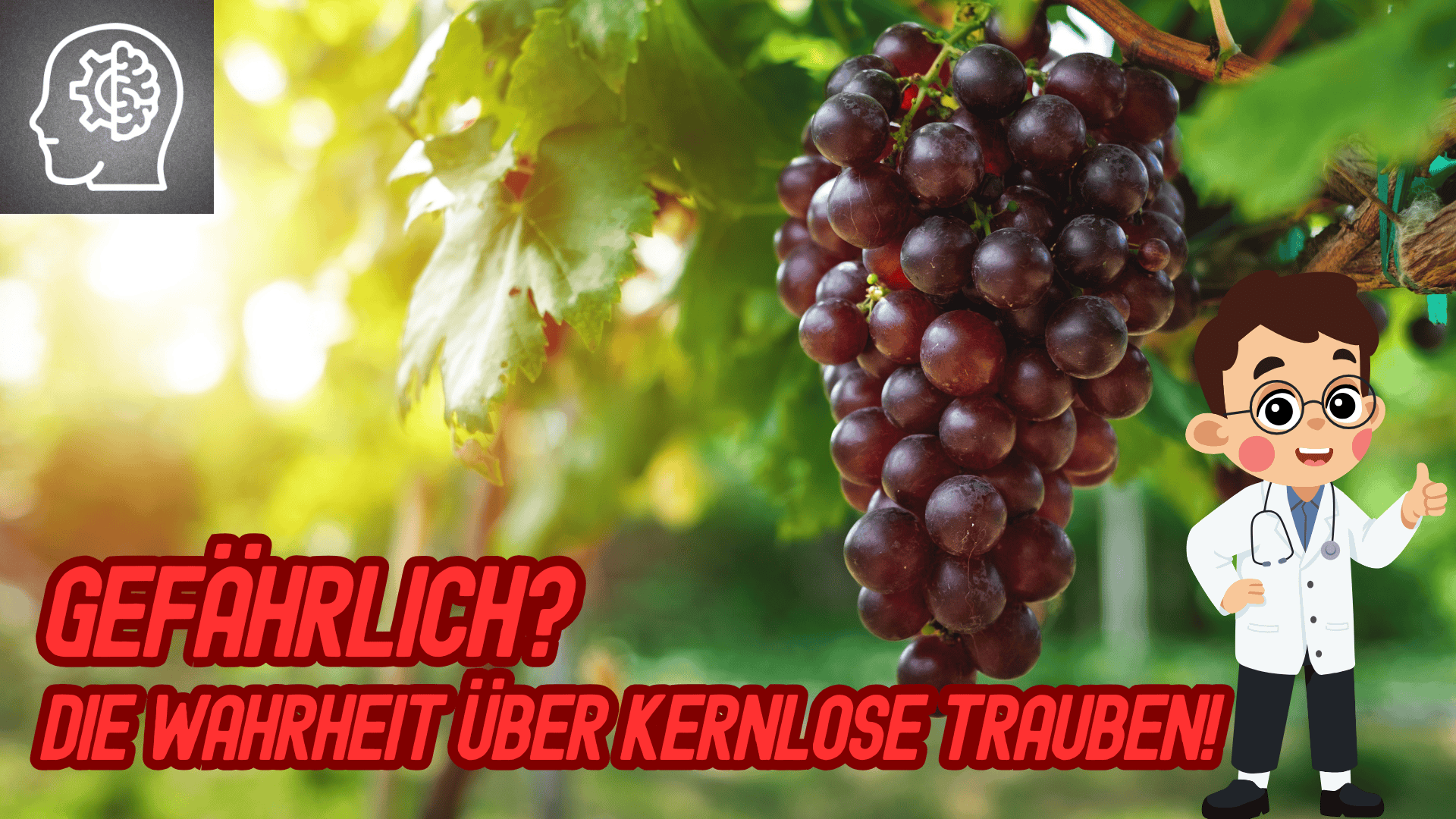 Kernlose Trauben