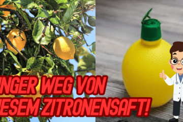 Frischer Zitronensaft